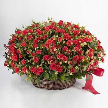 51 красная кустовая роза в корзине