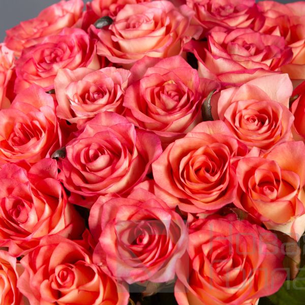 Букет 25 розовых роз 40 см