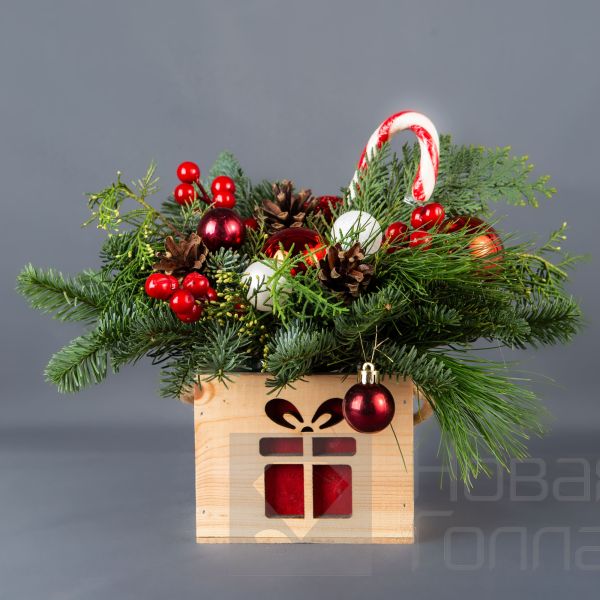 Композиция в кашпо елочка № 3