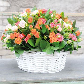 Композиция из 35 кустовых роз микс в корзине Композиция из 35 кустовых роз микс в корзине