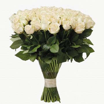 Букет 101 кремовая роза 50см. Букет 101 кремовая роза 50см.