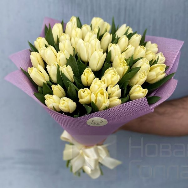 Букет 51 кремовый тюльпан