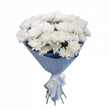 Букет 9 белых кустовых хризантем Букет 9 белых кустовых хризантем