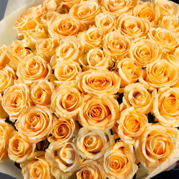 Букет 51 роза Шампань 60см