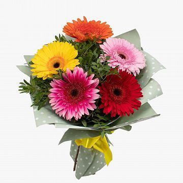 Букет из 5 гербер Букет из 5 гербер