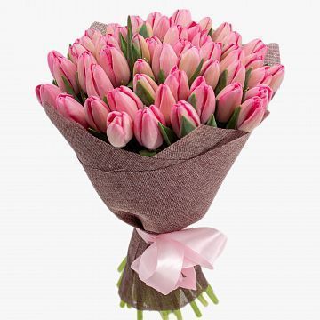 Букет 51 розовый тюльпан Букет 51 розовый тюльпан