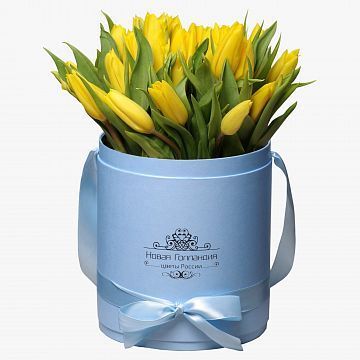 35 желтых тюльпанов в голубой шляпной коробке №222 35 желтых тюльпанов в голубой шляпной коробке №222