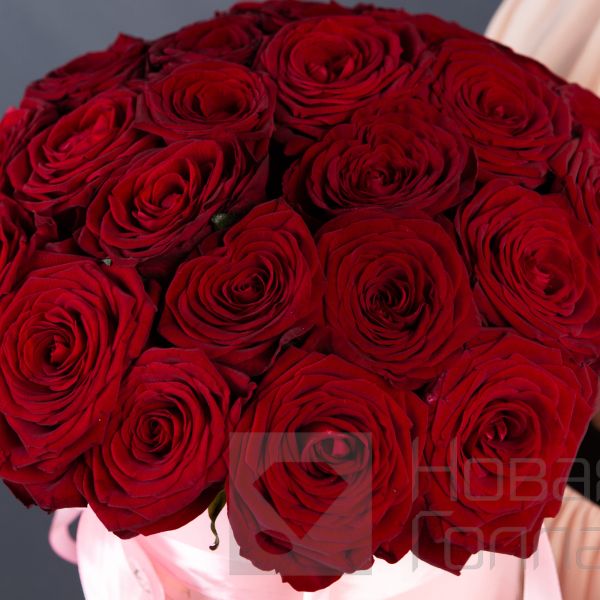 25 красных роз в розовой шляпной коробке №8