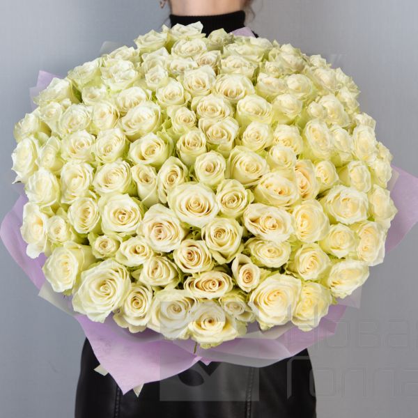 Букет 101 белая роза Кения  40 см  в упаковке