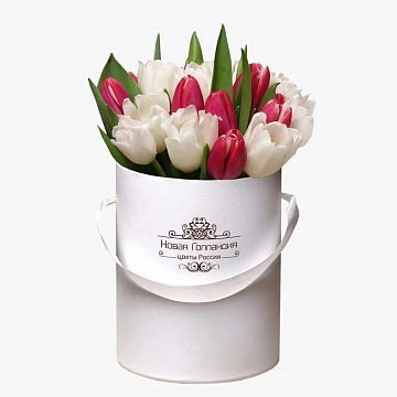 25 красно-белых тюльпанов в белой маленькой шляпной коробке №415 25 красно-белых тюльпанов в белой маленькой шляпной коробке №415