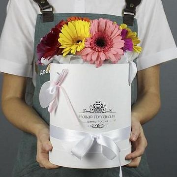 11 гербер в белой шляпной коробке №684 11 гербер в белой шляпной коробке №684